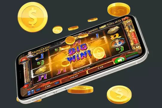 oasis66